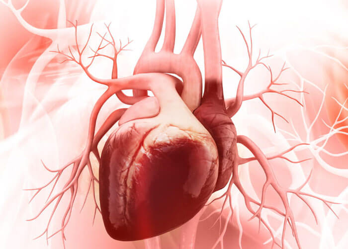 Cardiologist in Hyderabad