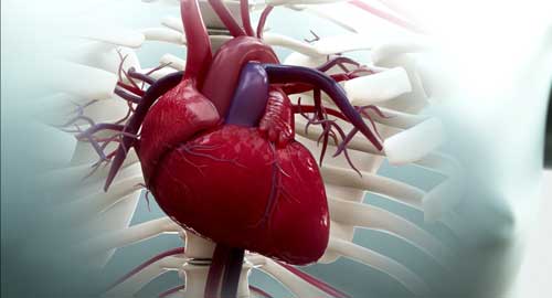 Hyderabad Heart Specialist