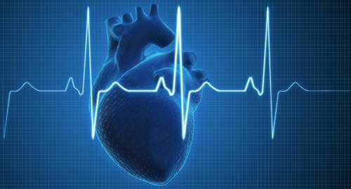 Hyderabad Heart Specialist