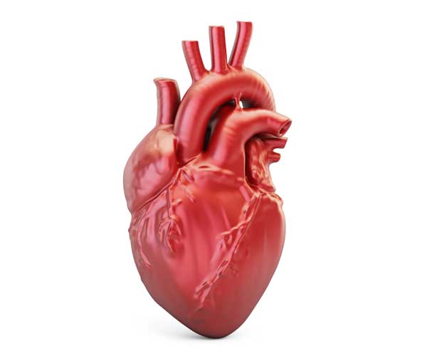 Best Cardiac Surgeon in Hyderabad